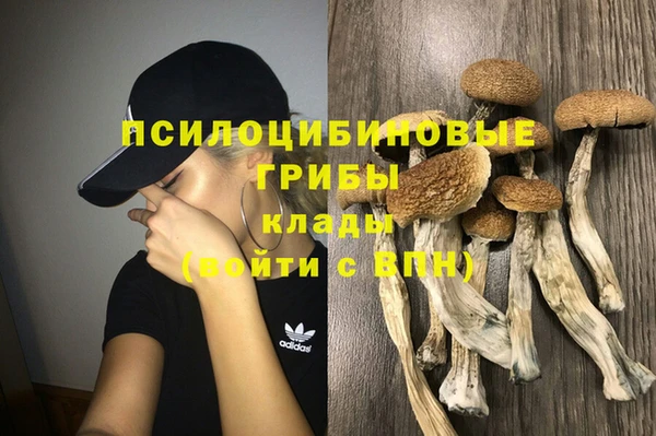 apvp Верхний Тагил